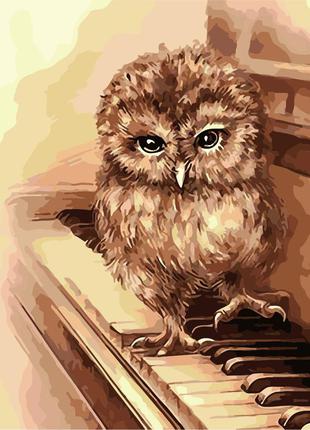 Художній творчий набір, картина за номерами піаніст, 40x30 см, «art story» (as0312)