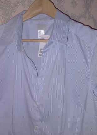 Жіноча блакитна нова сорочка в смужку h&m1 фото