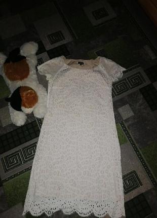 Сукня, сарафан, плаття жіноче, костюм, блуза, кофта