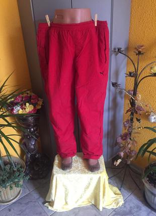 Спортивні штани унісекс