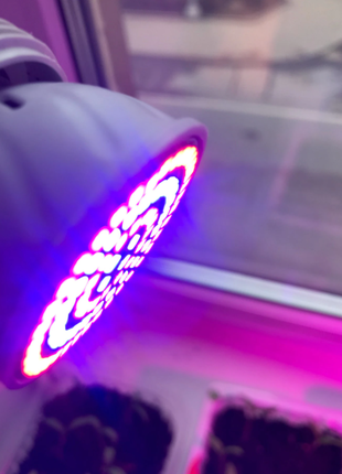 Led фитолампа для рослин