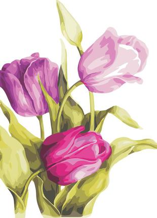 Художній творчий набір, картина за номерами ніжні тюльпани, 40x50 см, «art story» (as0329)