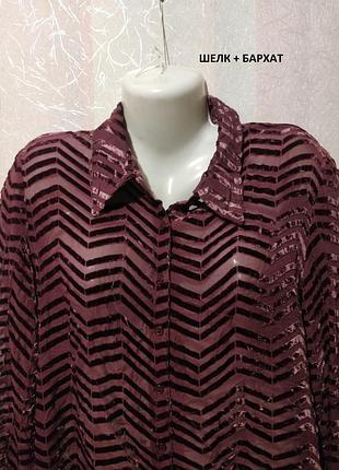 Блуза сорочка оксамитова (пог-55 см) 79