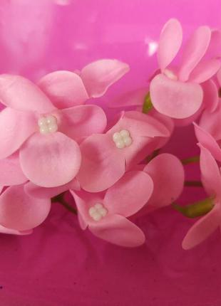 Мыльный цветок, соцветие гортензии розовой