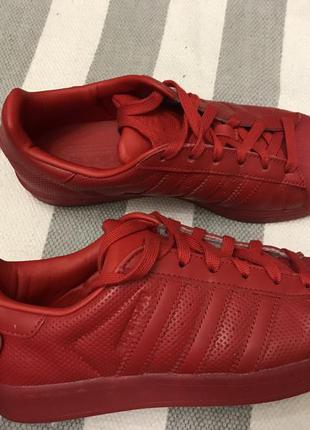Продам свои кеды adidas superstar