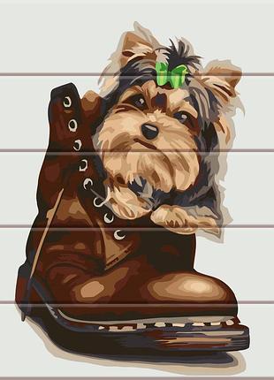 Художній творчий набір, картина за номерами на дереві щеня в черевику, 30x40 см, «art story» (asw096)