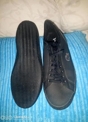 Кеди lacoste оригінал