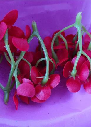 Мыльный цветок, соцветие гортензии красной3 фото