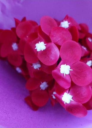 Мыльный цветок, соцветие гортензии красной2 фото
