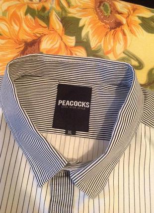 Комбинированная рубашка бренда peacocks, р. 56-586 фото