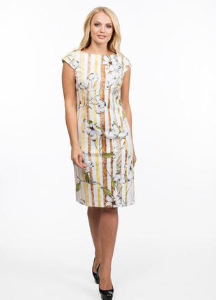 Плаття алеся ст-20 котон-стрейч смуга біла магнолія
