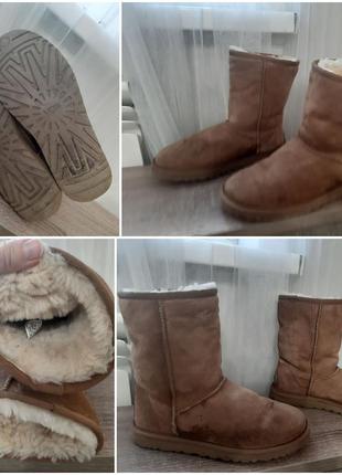 Оригінал уггі ugg australia9 фото