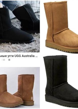 Оригинал угги ugg australia