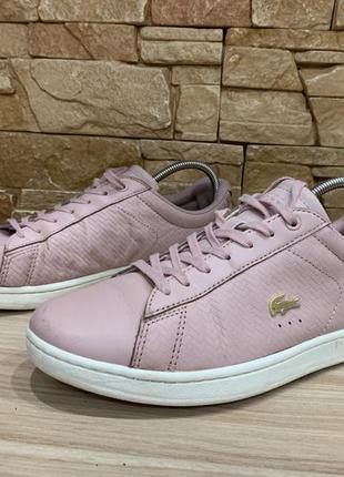 Розовые кожаные кроссовки lacoste p 39,5 ( 25,6 см)