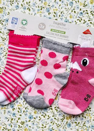 Шкарпетки шкарпетки шкарпетки lupilu