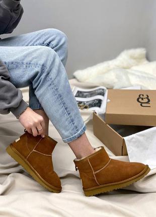 ❄️😍❄️ugg classic mini ii boot beige❄️😍❄️угги женские мини бежевые, жіночі зимові угі