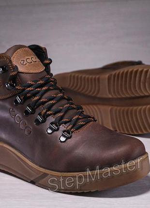 Зимние кожаные кроссовки на меху ecco nubuck brown