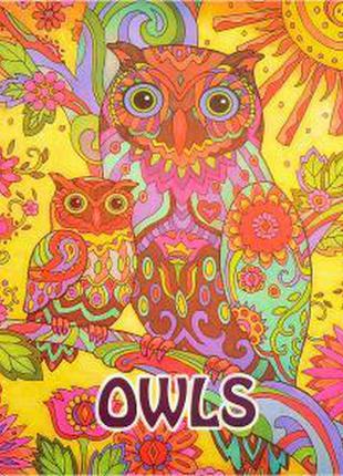 Owls розфарбування антистрес