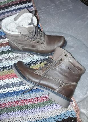 Зимові черевики lasocki
