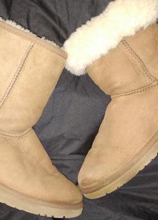 36р-24 см уггі ugg australia