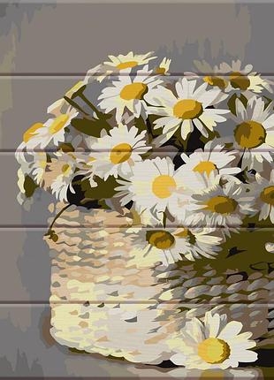 Художній творчий набір, картина за номерами на дереві ромашки в кошиків, 30x40 см, «art story» (asw087)