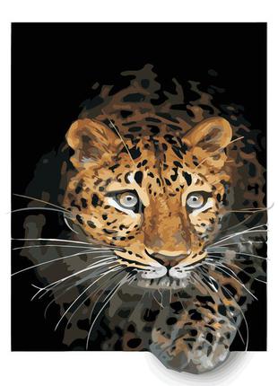 Художній творчий набір, картина за номерами погляд тигра, 40x50 см, «art story» (as0393)