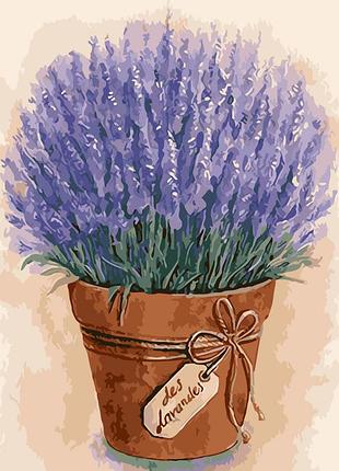 Художній творчий набір, картина за номерами лаванда, 40x50 см, «art story» (as0007)