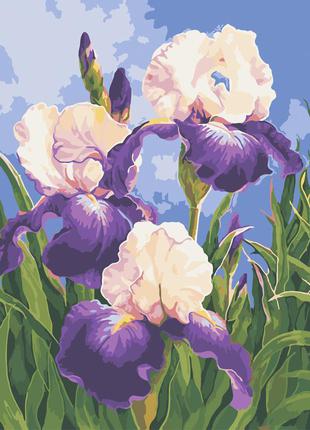 Художній творчий набір, картина за номерами весняні іриси, 30x40 см, «art story» (as0592)