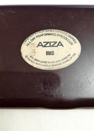 Палитра сухих теней для век сиреневые матовые и переливающиеся набор aziza by prince...