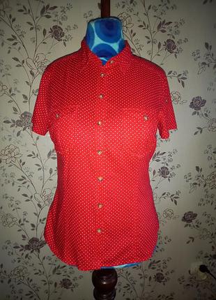Сорочка в горошок