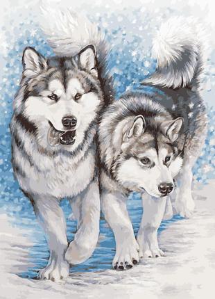 Художественный творческий набор, картина по номерам северные собаки, 50x65 см, «art story» (as0956)