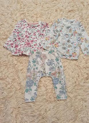 Набор штаны штанці лосины кофта светр