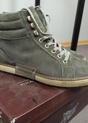 Черевики napapijri