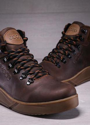 Зимові шкіряні спортивні черевики хутрі ecco nubuck brown2 фото