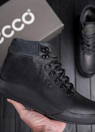 Зимові шкіряні спортивні черевики на хутрі ecco nubuck black