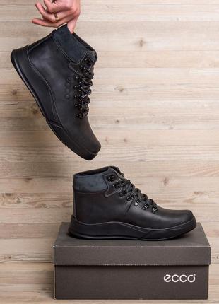 Зимние кожаные спортивные ботинки на меху ecco nubuck black4 фото