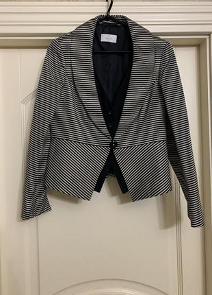 Піджак франція