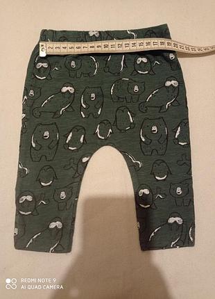 Штани жіночі рейтузи бавовняні зелені