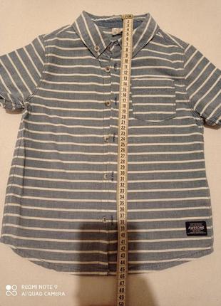 Р12.хлопковая качественная брендовая рубашка с короткими рукавами голубая в белую полоску хлопок 100