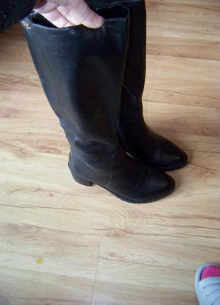 Женские сапоги черные натуральные утеплены мехом kadandier 37р6 фото