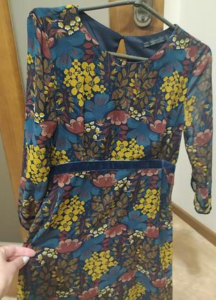 Плаття 👗 2