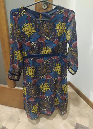 Плаття 👗
