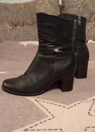 Півчобітки, черевики.