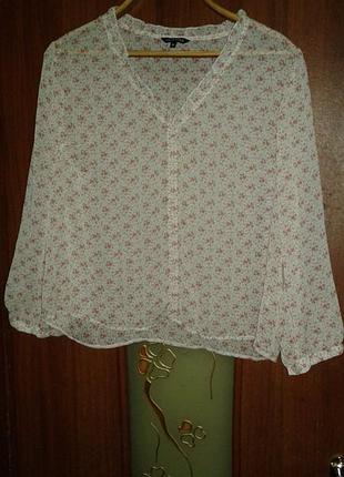 Нежная шифоновая блуза