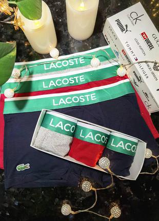 Набір трусів lacoste