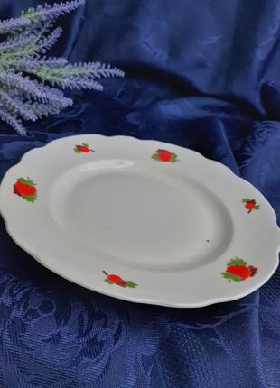 🍓малинка тарелка 1947-1953 годы порционная коростень послевоенная подглазурная роспись винтаж редкая фарфоровая ягоды3 фото