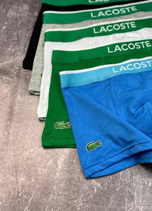 Трусы мужские lacoste2 фото