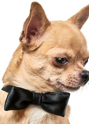 Аксесуар для собак краватка-метелик pet fashion розмір xs