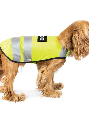 Жилет світловідбивний yellow vest для собак розмір s
