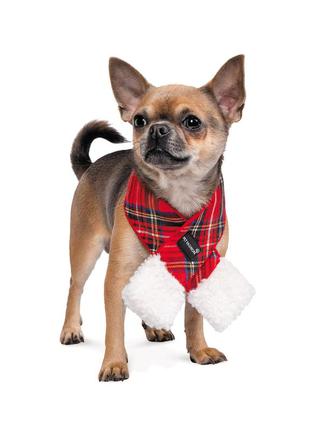 Зимний новогодний шарф happy для собак размер m-xl3 фото